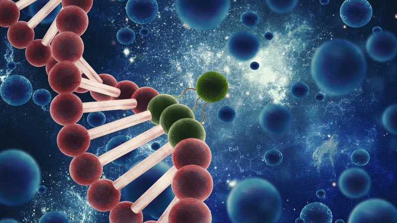 دوره آموزشی سلول های بنیادی